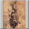 Organe und Gefaesse einer Frau, um 1507.html
